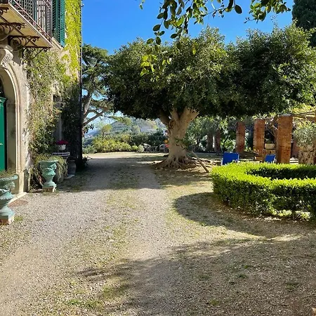 Giuffrè